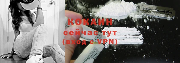 дмт Осинники