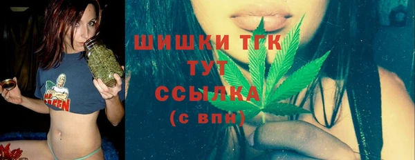 apvp Осташков