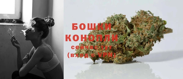 дмт Осинники