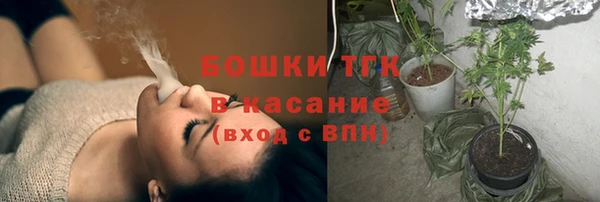 дмт Осинники