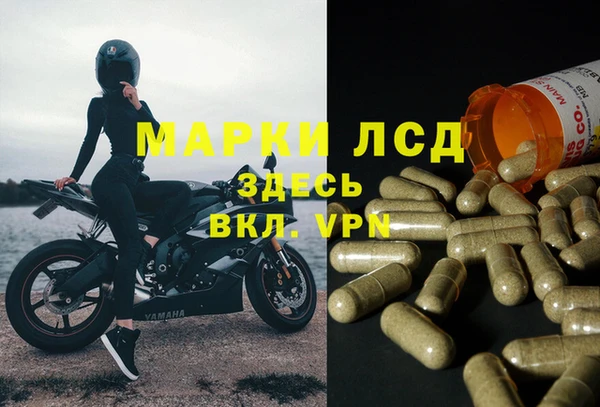 ECSTASY Пестово