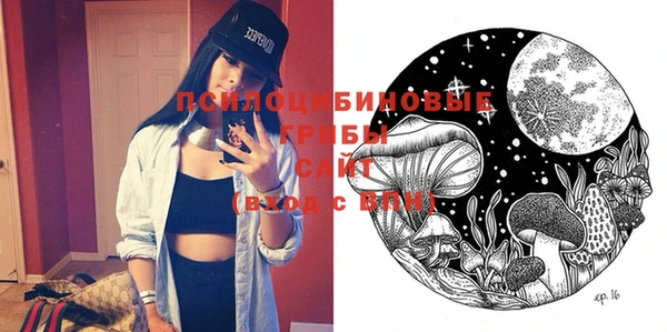 дмт Осинники