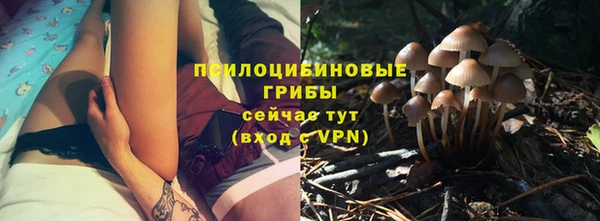 apvp Осташков