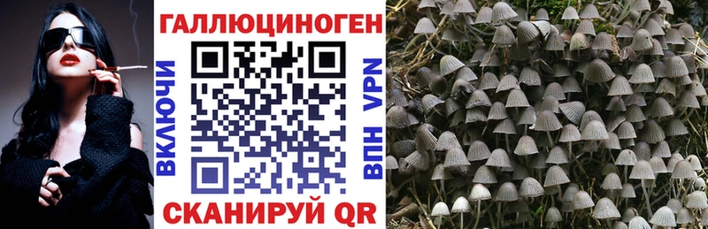 Купить где  Сольвычегодск  Галлюциногенные грибы Cubensis 